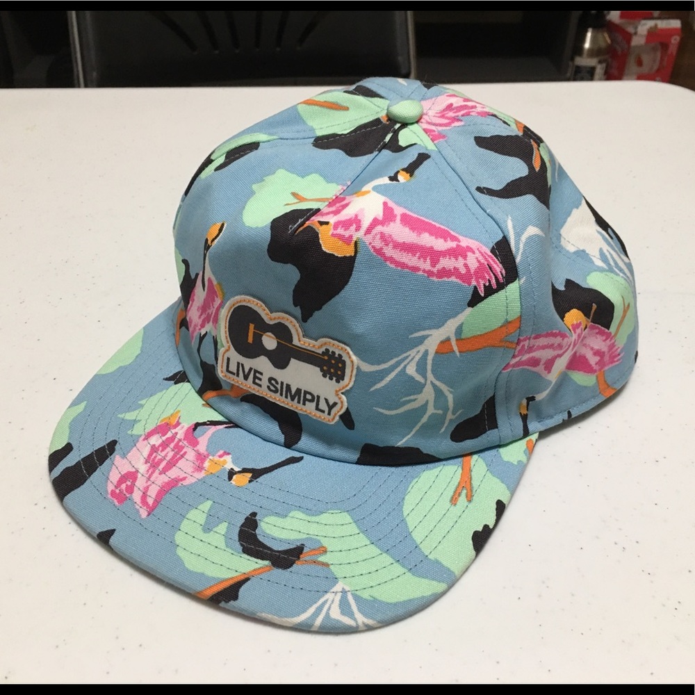 Patagonia Live Simply Hat